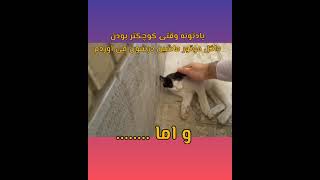 دوستی با حیوانات friendship with animals