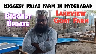 Biggest Palai Farm In Hyderabad | Lakeview Goat Farm| Pahadi Shareef| Hyderabad