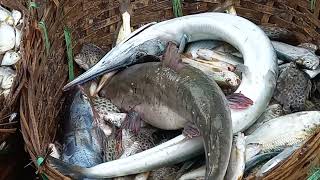 Fishing Exciting Mayangan Fising Week part 6