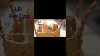 Lili Aelia feat Eva Cruz #musique #chanson #animals #animaux #chat #chaton