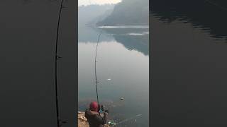 Hook fishing🎣🐟rod fishing in river😱catch fish🐟 #fishing#hook#shikari#pakistan#short