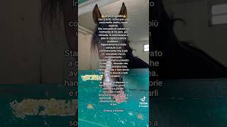 Se siete interessati scrivete a lueuppi su Tik tok