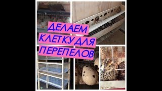 Как сделать клетку для перепелов