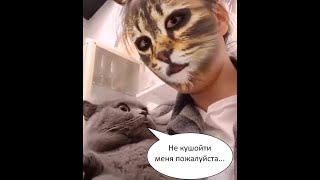 Как испортить психику кота.