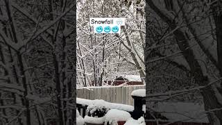 Snowfall #winter #snow #snowfall #cold #letitgo #fypシ゚ #fyp #fy #fypage #trending #viralvideo #viral