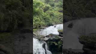 Feel the Nature and sound #nature #falls #beautifulnature #beautifulview #shorts #short #waterfall