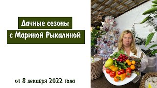 Дачные сезоны с Мариной Рыкалиной от 8 декабря 2022 года