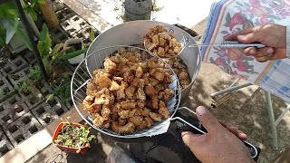 TORRESMO E PÃO DE QUEIJO NO FOGÃO M6 COM PARRILHA