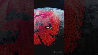 Your Blood Vessels Can Circle Earth 4 Times! #biofacts #factshorts #biologyeducation  #biodiversity