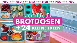 24 kleine Brotdosen Ideen | Die neue mamiblock Lunchbox | Kita & Schule |