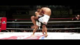 SW & Liverkick.com: Top 5 KO's of 2011 Kickboxing