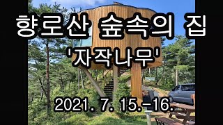 향로산 자연휴양림 숲속의 집 '자작나무' (트리하우스) 숙박기