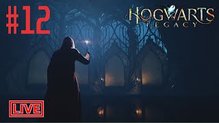 Hogwarts Legacy | Part 12 | Live Stream Full Walkthrough RoyALGaMzoYt