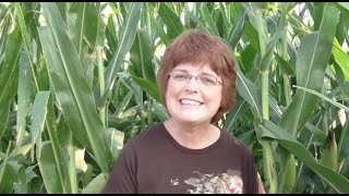 An Iowa Mom Intro