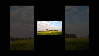 Nature#clouds#shorts  #shortvideo #nature