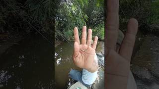 Micro Fishing Strike Uceng Di Sungai Kecil - Ikan Kecil Tarikannya Kuat #microfishing #mancinguceng