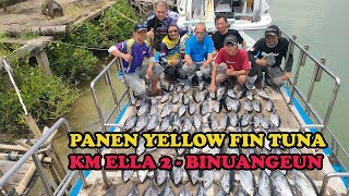 TOTAL 89 EKOR YFT, HASIL TRIP MANCING DI RUMPON TUNA BERSAMA KM ELLA 2