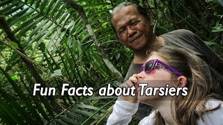 Fun Facts About the Philippines Tarsier