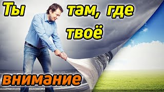 Чувство неудовлетворенности / Ты там, где твоё внимание