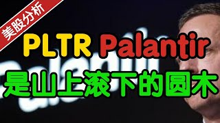 Palantir PLTR：是一根从山上滚下来的圆木