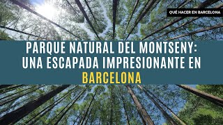 Parque Natural del Montseny: Una escapada impresionante en Barcelona | Qué ver en Barcelona