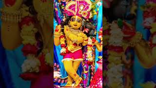 Chandan Yatra Special! #gnk #chandanyatra #krishna #shorts #viral #video #kirtan #bhajan #youtube