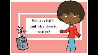 What is EMF and why does it matter?