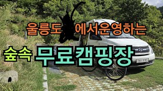 울릉군에서  운영하는  무료캠핑장에서  차박했어요