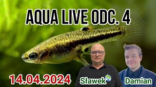 AQUA LIVE ODC. 4 / Odpowiadamy na Wasze pytania / 14.04.24 /  #aquascapingtv