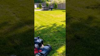 Landscaping season 👌#lawncare #grass #lawnmower #mowing #satisfyingvideo #trendingshorts