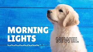 Morning Lights – Niwel - Stress relief | Calm Music | Sleep | Relax with Us