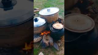 cooking in nature, nomad lifestyle #shorts #nomad