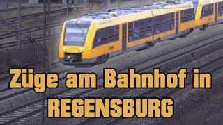 BAHNHOF REGENSBURG - alle Züge!