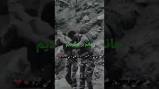 بر میگردیم