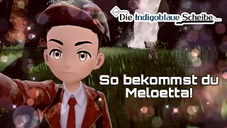 So findest du Meloetta - Pokemon Karmesin Purpur DLC die Indigoblaue Scheibe