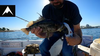 MISSION BAY SPOTTY'S - Fishing for spots with my son on MB