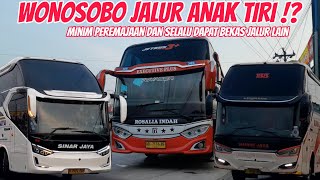 Wonosobo Si Jalur Anak Tiri‼️Jarang Peremajaan, Sekalinya Peremajaan Dapat Bekas Jalur Lain