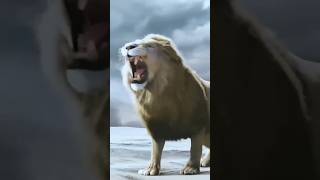 Dangerous Fighting Lions #viral #shortsfeed #youtubeshort #animal #fightinganimals #fightinglions