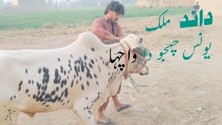 wacha Malik Younis Chajoo da wa wacha wa tere full Khair ho ve shala  subscribe to my channel