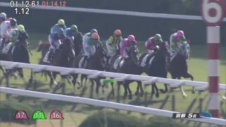 2016,11,13　京都5R　2歳新馬　グローブシアター（タイムコード・ヴァーチャルライン入り）