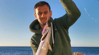 Shore jigging Marseille - Live strike on little bonito