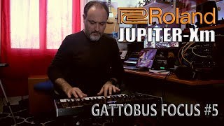 Roland Jupiter-Xm Focus - Integrazione con la DAW by Gattobus