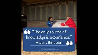 The Only source of Knowledge is Experience.