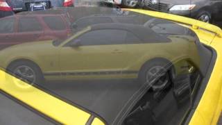 2006 Ford Mustang Standard Used Cars - Mobile,Alabama - 2014-12-22