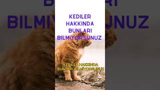 KEDİLER HAKKINDA BUNLARI BİLMİYORSUNUZ #kediler #bilim #youtubeseo