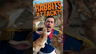 RABBITS Attack Napoleon? The Shocking Tale You’ve Never Heard!