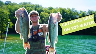 Catching bass with top water on Norris lake late June.