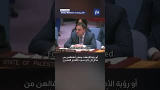 Palestinian ambassador responds to the US veto