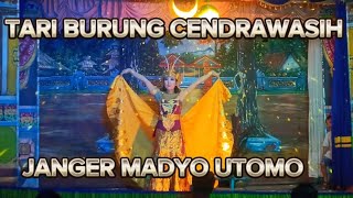 TARI BURUNG CENDRAWASIH// JANGER MADYO UTOMO,DESA ALIYAN @ULIK_BWI