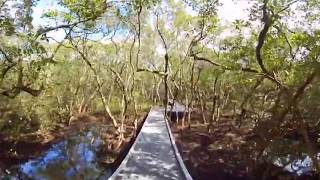 360 degree Bike tour - Discover Sydney Olympic Park